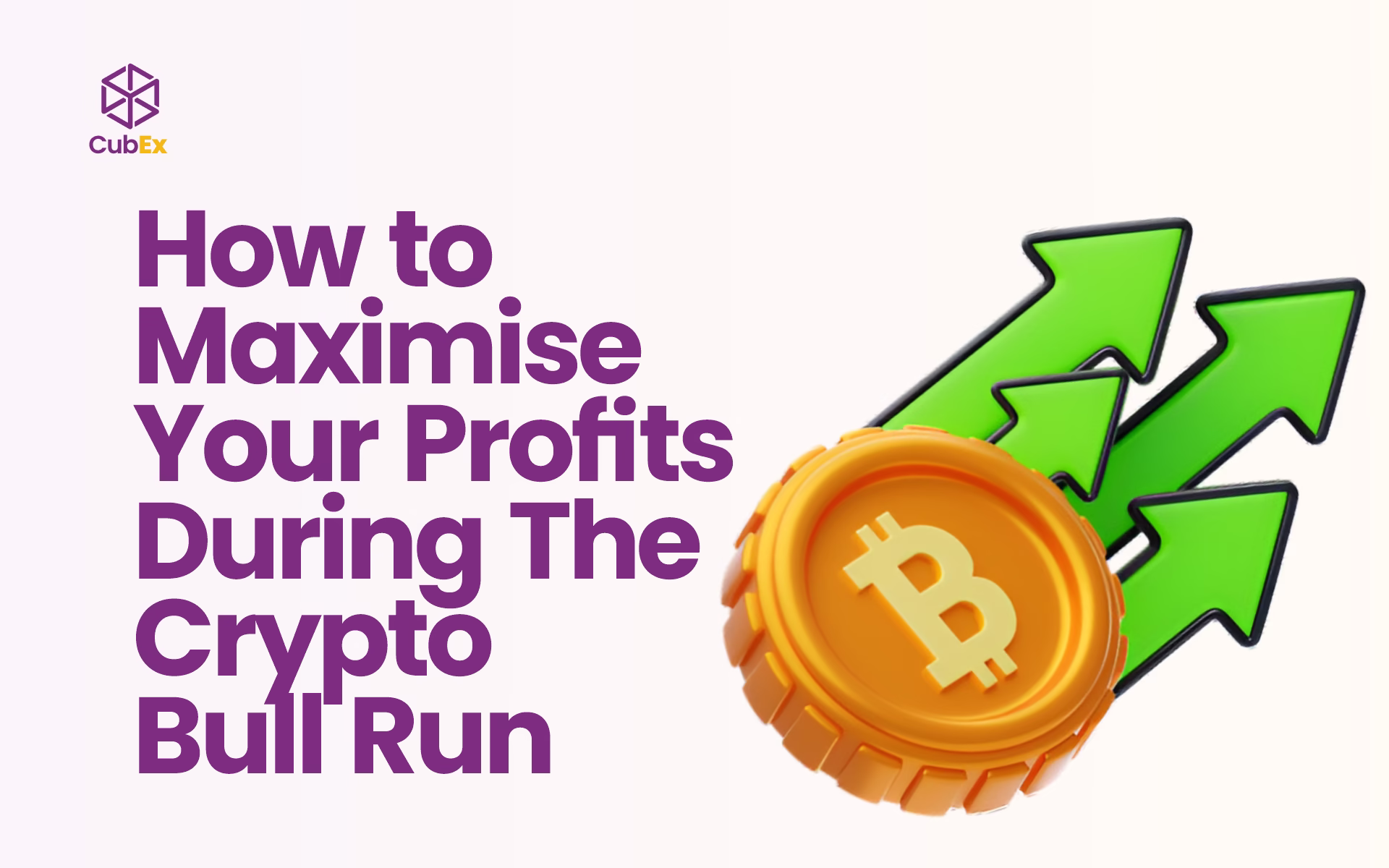 How to Maximise Your Profits During The Crypto Bull Run