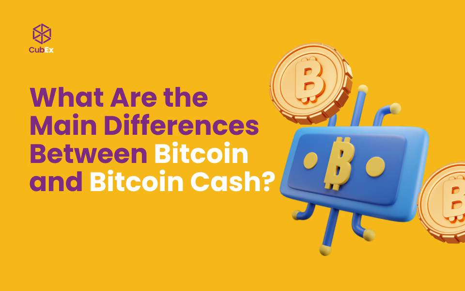 Bitcoin vs Bitcoin Cash: Key Differences Explained