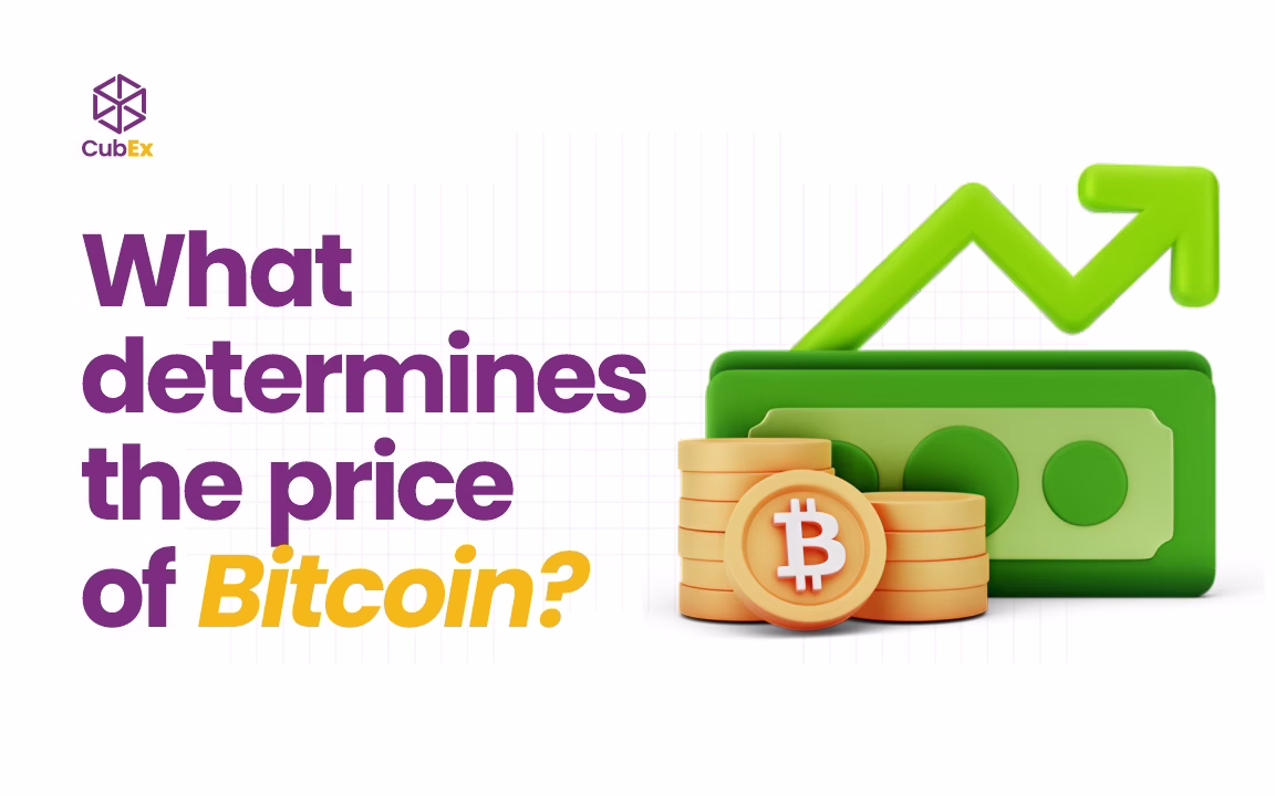 What Determines the Price of Bitcoin