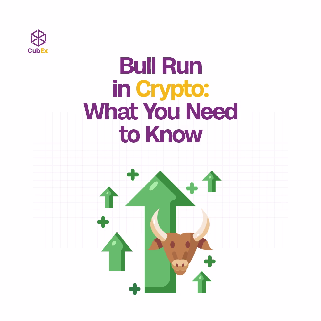 crypto bull run